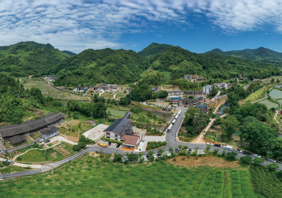1608775296659849.png 九峰村全景.png